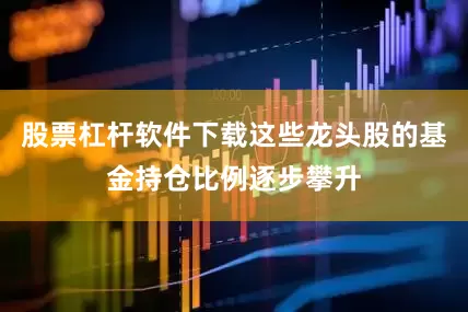 股票杠杆软件下载这些龙头股的基金持仓比例逐步攀升