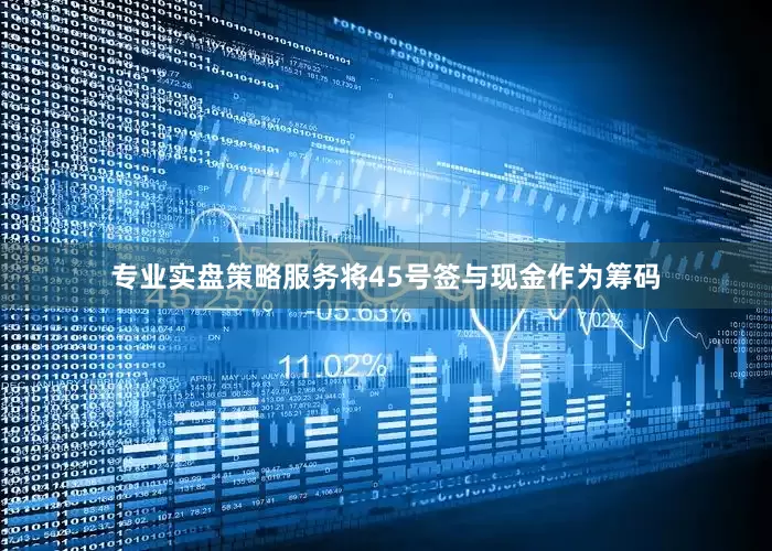 专业实盘策略服务将45号签与现金作为筹码