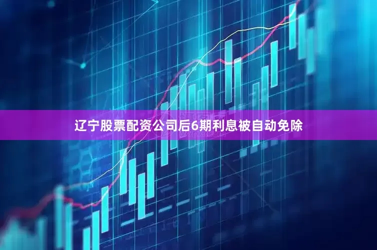 辽宁股票配资公司后6期利息被自动免除