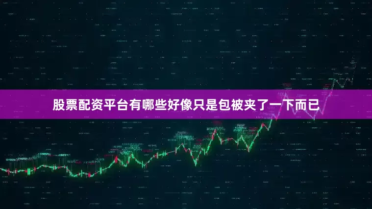 股票配资平台有哪些好像只是包被夹了一下而已